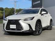2022 LEXUS NX