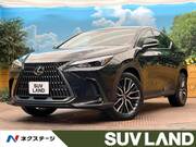 2024 LEXUS NX