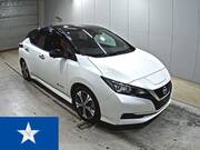 2020 NISSAN LEAF