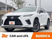 2019 LEXUS RX