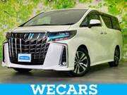 2018 TOYOTA ALPHARD S CPACKAGE