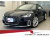 AUDI TTS COUPE