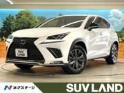 2018 LEXUS NX