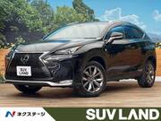 2014 LEXUS NX