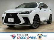 2022 LEXUS NX