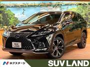 2020 LEXUS RX