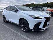 2023 LEXUS NX