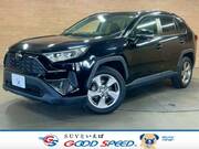 2019 TOYOTA RAV4 X