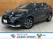 2016 LEXUS NX