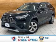 2019 TOYOTA RAV4 G