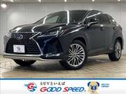 2019 LEXUS RX