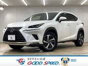 2018 LEXUS NX