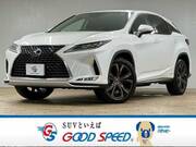 2020 LEXUS RX