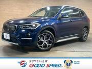 2019 BMW X1