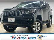 2018 TOYOTA LAND CRUISER PRADO TX