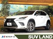 2021 LEXUS NX