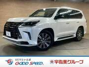 2019 LEXUS LX