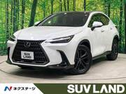 2023 LEXUS NX