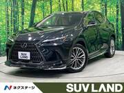 2022 LEXUS NX