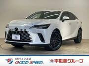 2023 LEXUS RX