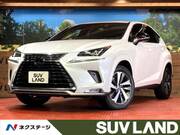 2020 LEXUS NX