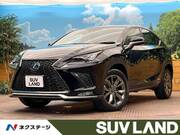 2020 LEXUS NX