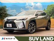 2021 LEXUS UX