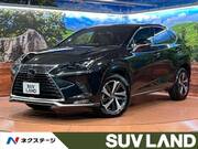 2020 LEXUS NX