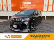2019 TOYOTA ALPHARD