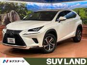 2018 LEXUS NX