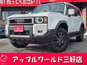 2024 TOYOTA LANDCRUISER 250