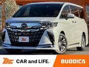 2024 TOYOTA ALPHARD