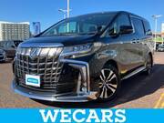 2020 TOYOTA ALPHARD S CPACKAGE