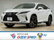 2020 LEXUS RX