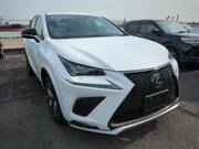 2019 LEXUS NX