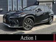2019 LEXUS NX