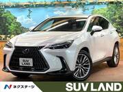 2024 LEXUS NX