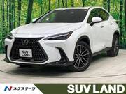 2022 LEXUS NX