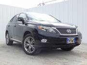 2010 LEXUS RX