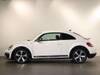 VOLKSWAGEN THE BEETLE