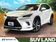 2021 LEXUS NX