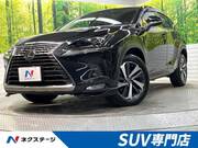 2019 LEXUS NX