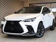 2022 LEXUS NX