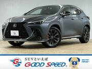 2022 LEXUS NX