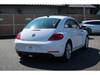 VOLKSWAGEN THE BEETLE