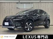 2020 LEXUS NX