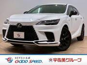 2024 LEXUS RX