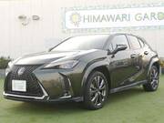 2019 LEXUS UX