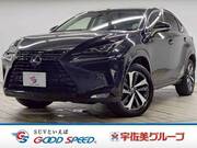 2018 LEXUS NX