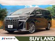 2019 TOYOTA ALPHARD 2.5S